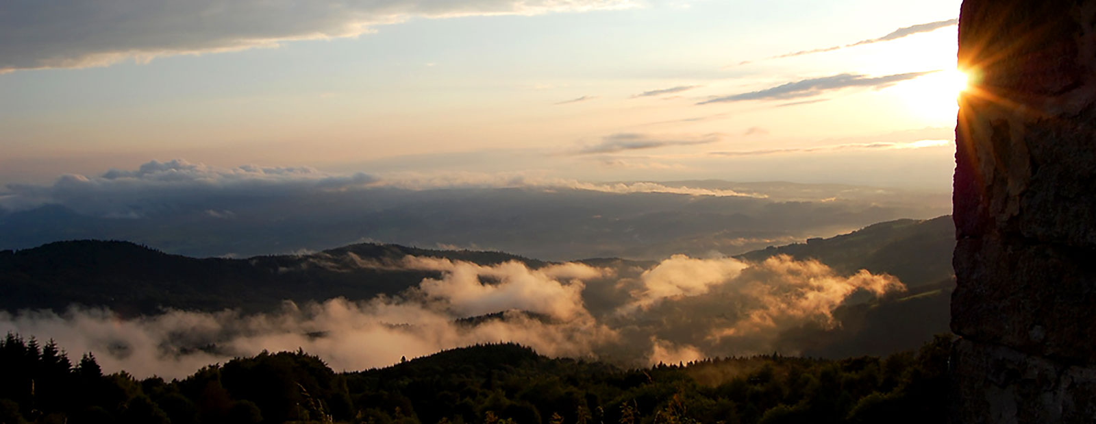 Associations des Parcs et Jardins Auvergne -Rhône Alpes